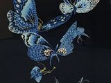 beaucoup de papillons bleus posés sur une table noire
