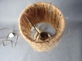 a piece of twine and a pair of scissors on a table