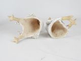 pair of white ceramic fish sculptures on a white background