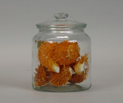 a glass jar with some orange flowers inside of it