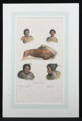 une image représentant un dessin de la tête et des épaules d'une femme
