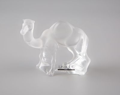 sculpture en verre transparent représentant un chameau sur un fond blanc