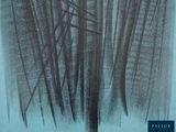 a black and white photo of a forest in the snow