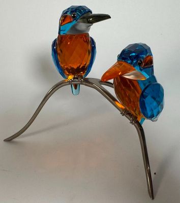 two blue and orange birds sitting on a branch
