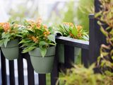 many potted plants that are hanging on a fence