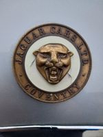 Jaguar (photo 5)