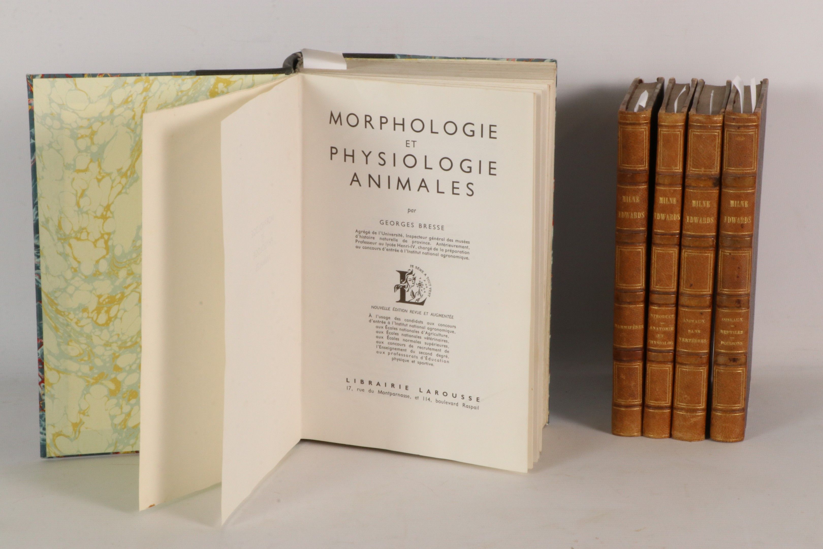 [ZOOLOGIE] MILNE-EDWARDS (Henri). Eléments de zoologie ou le…