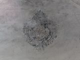 a close up of a metal plate with a flower design on it