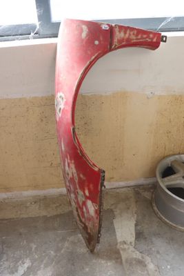 un chien allongé dans un bol près d'une fenêtre