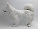 a white dog that is standing on a white surface