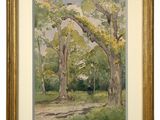 a watercolor painting of trees in a wooded area