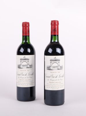 deux bouteilles de vin rouge posées l'une à côté de l'autre sur une surface blanche
