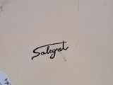a close up of a plate with the word solegett written on it