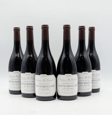 six bouteilles de vin sont alignées sur une surface blanche