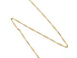 a gold plated necklace with a long chain on a white background
