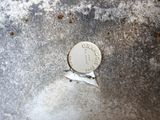 a coin sitting on top of a piece of metal