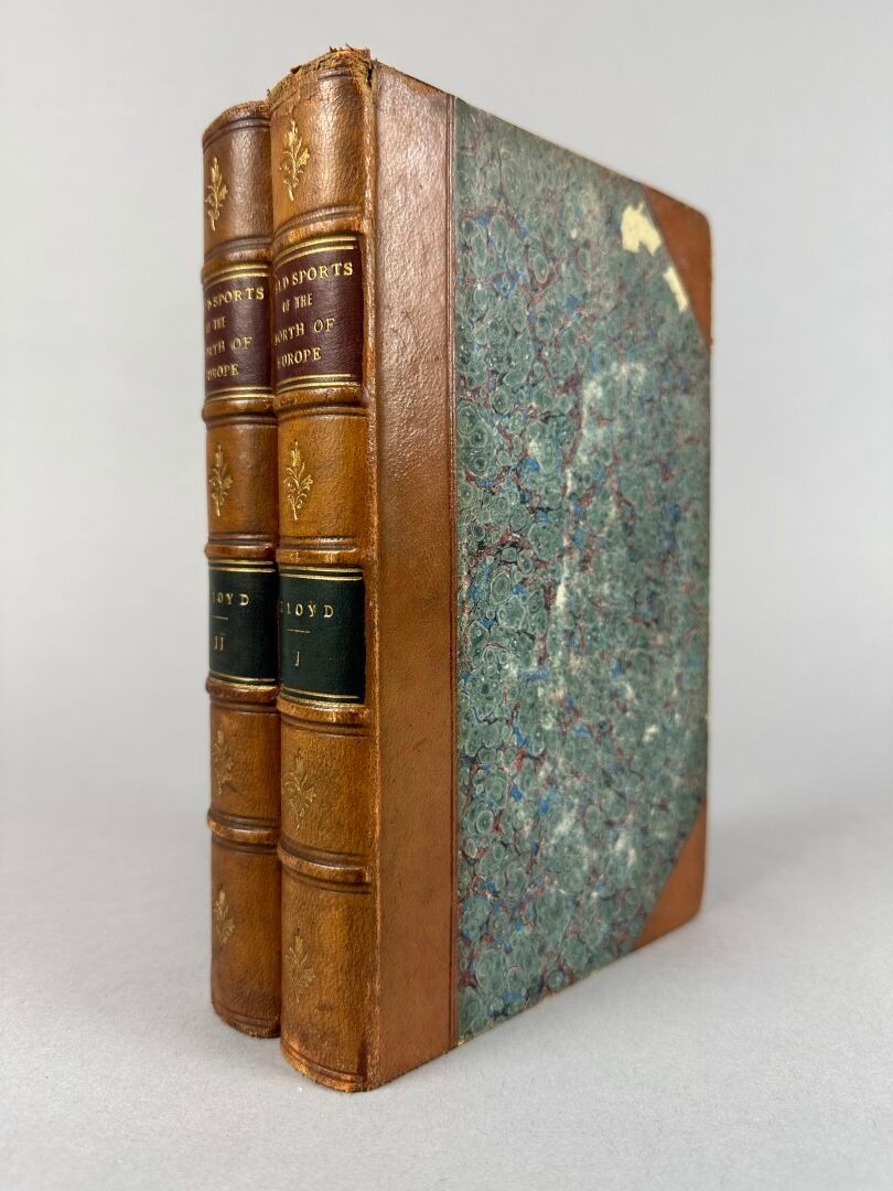 Objets d'art & Curiosités