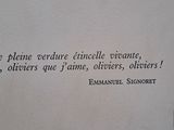 Photo 6/6 du lot
