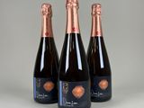 trois bouteilles de champagne posées sur une table devant un fond gris