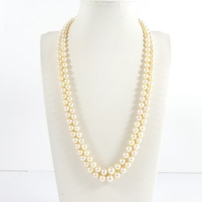 gros plan d'un collier sur un mannequin mannequin
