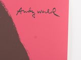 an image of a pink book with a black writing on it