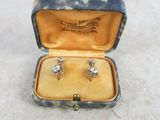 an image of a pair of diamond stud earrings in a case