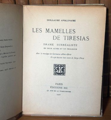 deux livres posés sur une étagère en bois
