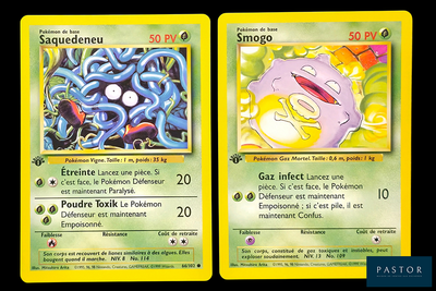 deux cartes Pokémon présentant des motifs différents, sur fond noir