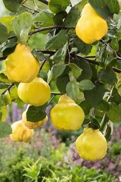 Destockage & Invendus