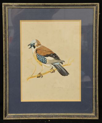 painting of a bird sitting on a branch in a frame