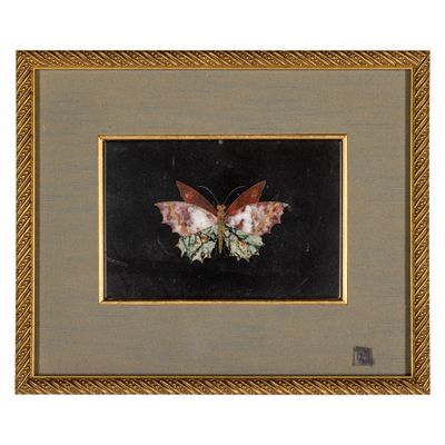 an image of a painting of a butterfly on a black background