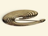 a close up of a metal brooch with a spiral design
