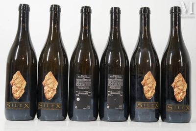 six bouteilles de six cépages différents alignées en rang