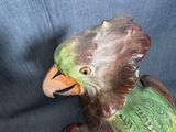 Photo 6/20 du lot