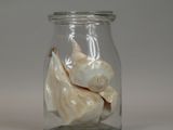 a glass jar with shells inside of it on a table
