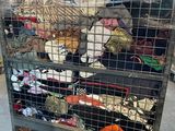 a metal cart with many pairs of shoes on it