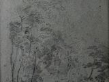 pencil drawing of a wooded landscape with trees and a bench
