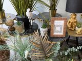 many different types of plants on the table