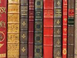 many books that are lined up together on a shelf