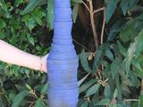 a person holding a blue vase in front of a bush