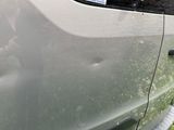 un chat assis sur la portière d'une voiture