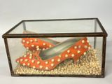 a glass box with a pair of orange shoes inside of it