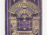 la couverture d'un livre violet et doré, avec l'image d'un château en arrière-plan