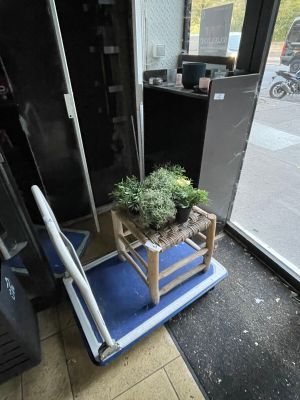 a plant that is sitting on a chair in front of a door