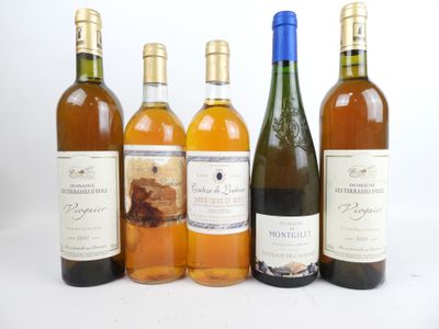 plusieurs bouteilles de vin sont alignées sur une surface blanche