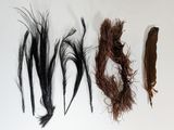 several different types of hair on a white surface