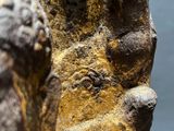 close up of a statue of a man ' s face with a yellow paint on it