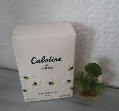 a small plant that is next to a box of perfume