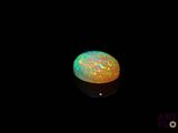 an oplite in the dark with a black background
