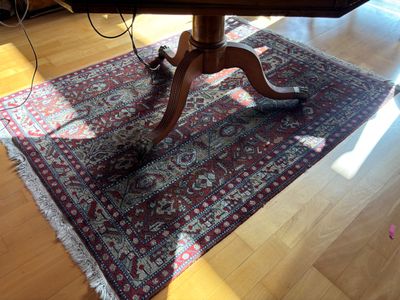 a cat that is sitting on a rug on the floor